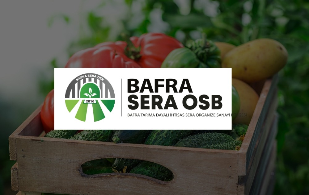 BAFRA YILDIZ FİDE OTOMOTİV TİCARET LİMİTED ŞİRKETİ