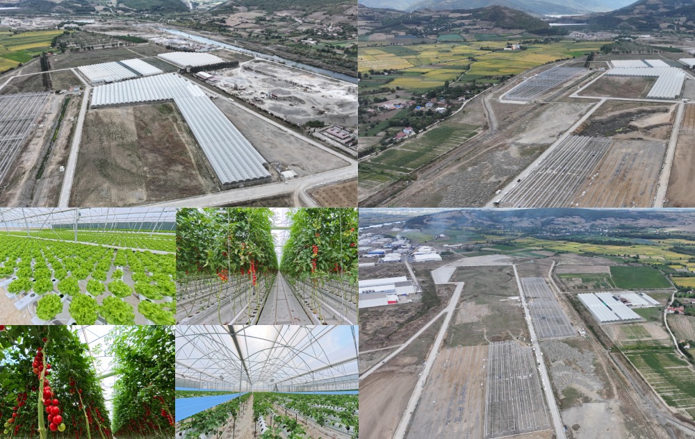 Alan Yönetimi Genel Yerleşim Plan Görseli